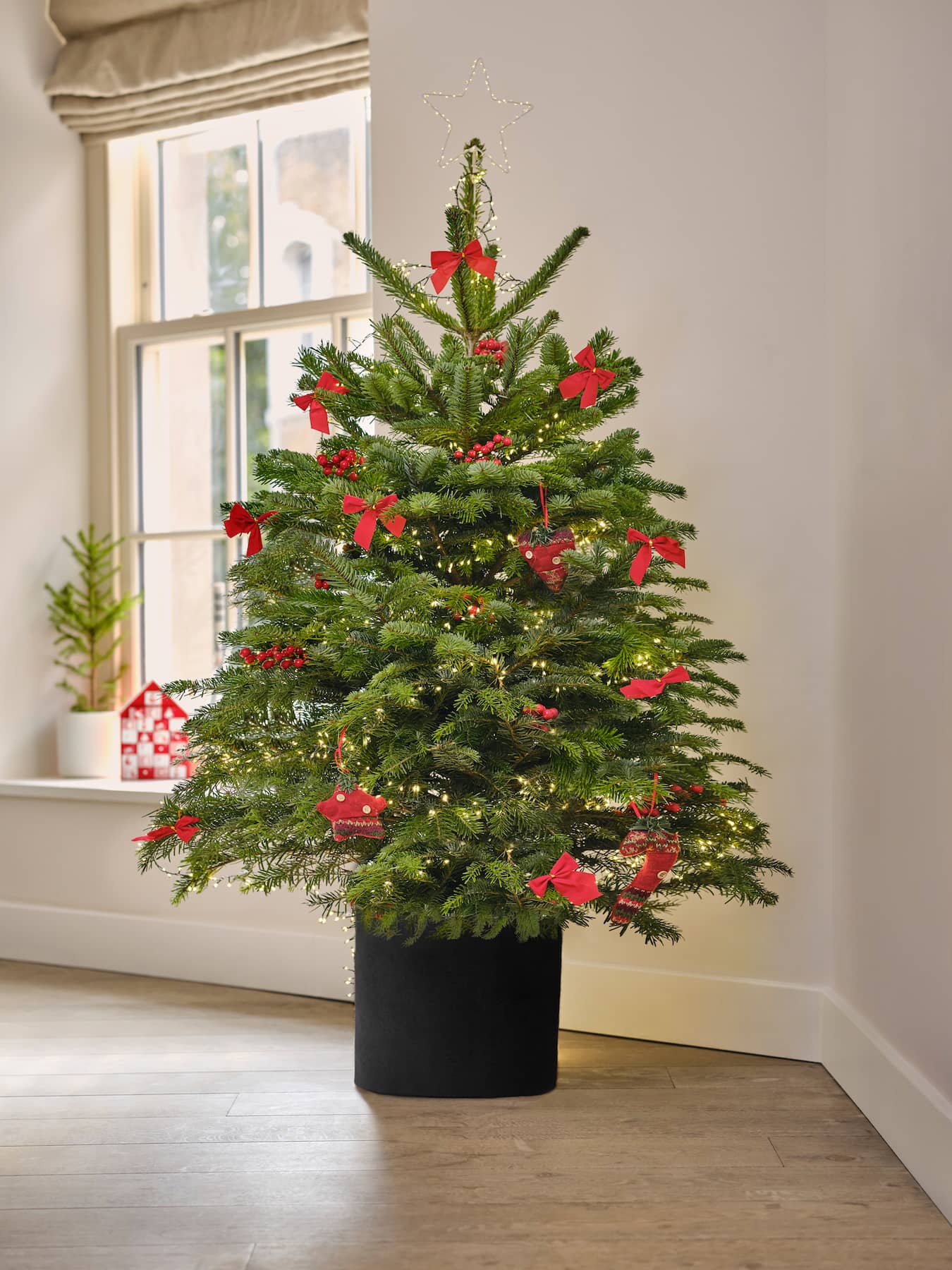 Cotton Pot grown Tree cover naturally makes the pot look more presentable, easy to put on and take off your pot this christmas greenelftrees.co.uk