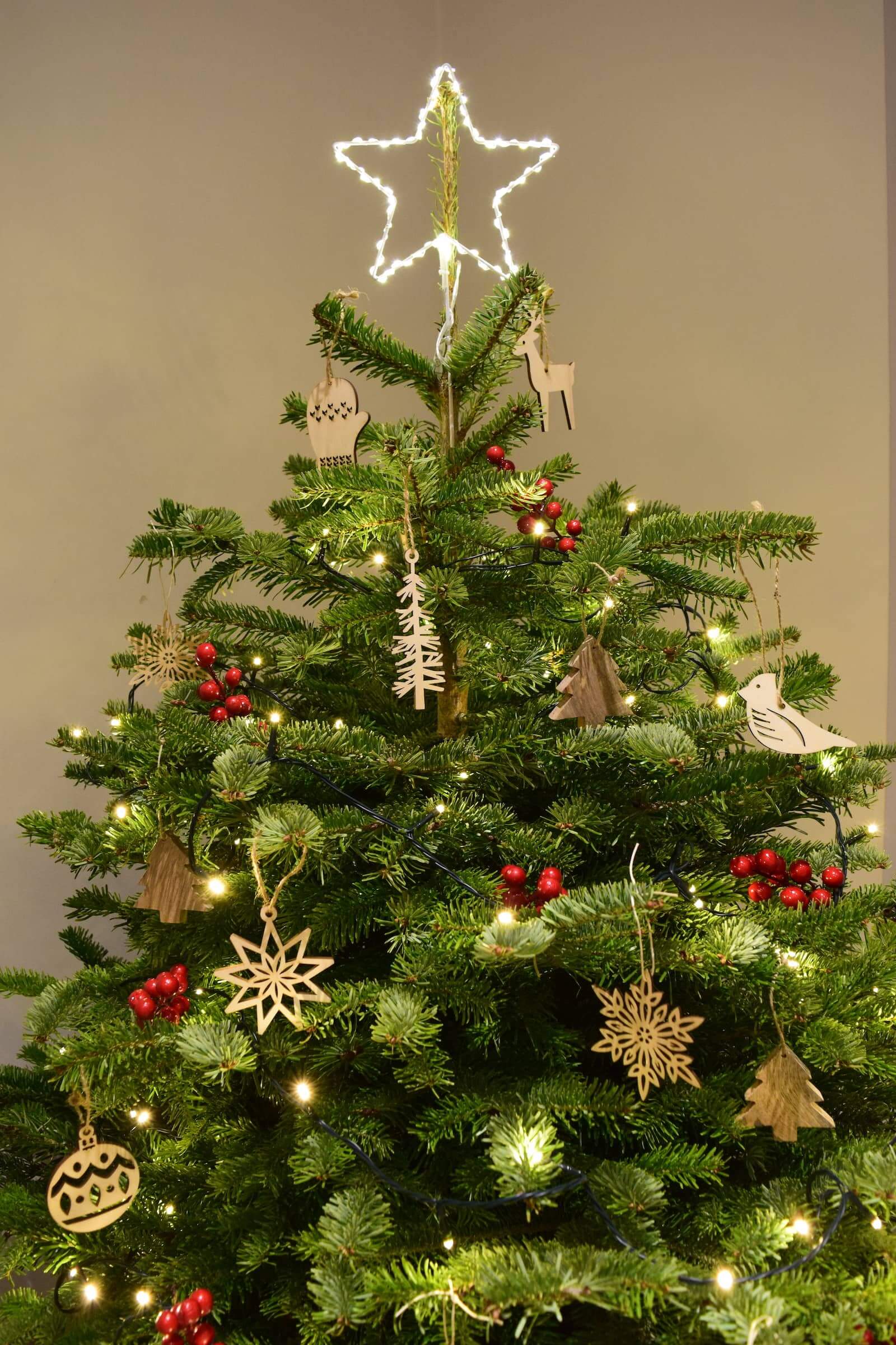 'Little Touch of Christmas' Real Tree www.greenelftrees.co.uk Little Touch of Christmas is our most compact real cut Nordmann tree and is short and bushy, making any space that little bit more cosy.
